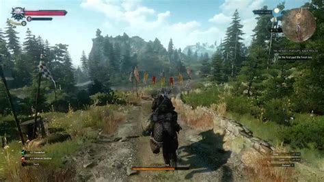 witcher 3 skellige race.
